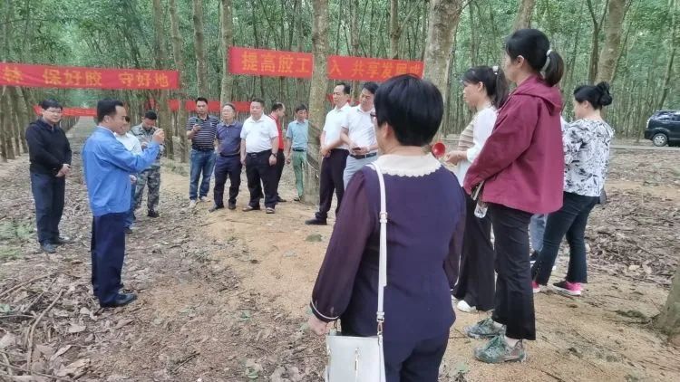 全國割膠冠軍張健給各單位學(xué)員做標(biāo)準(zhǔn)化膠園建設(shè)及割膠技術(shù)的經(jīng)驗介紹。.jpg