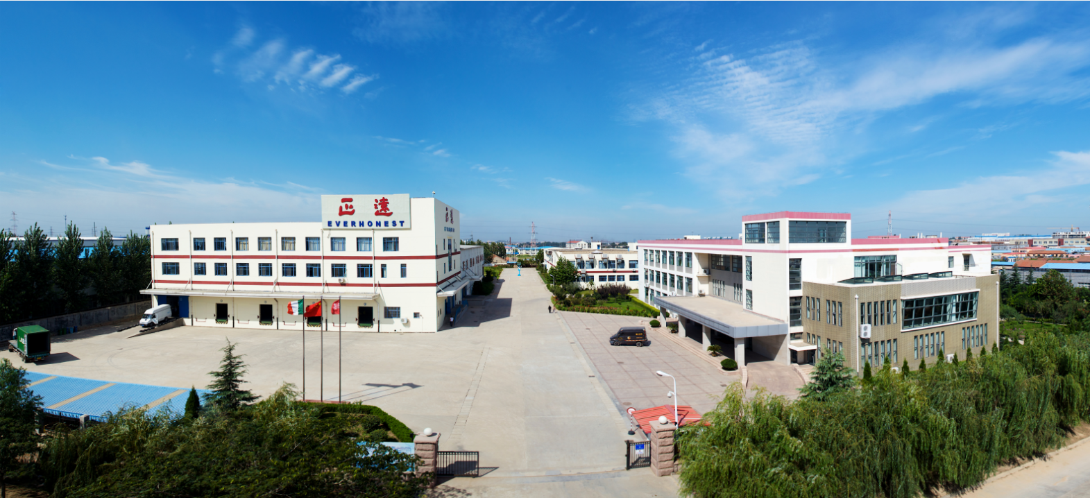 Company(圖1)
